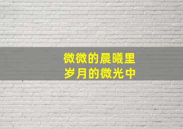 微微的晨曦里 岁月的微光中